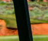 Main Feature 2